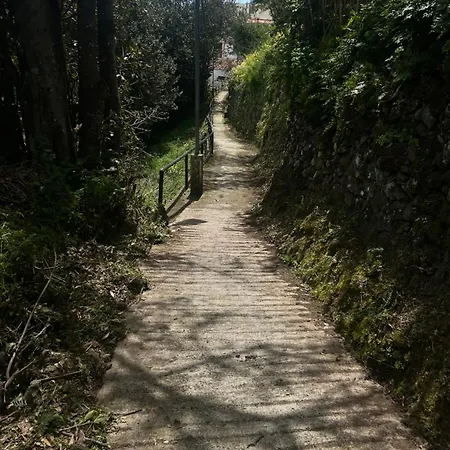 Garancor * Valleseco